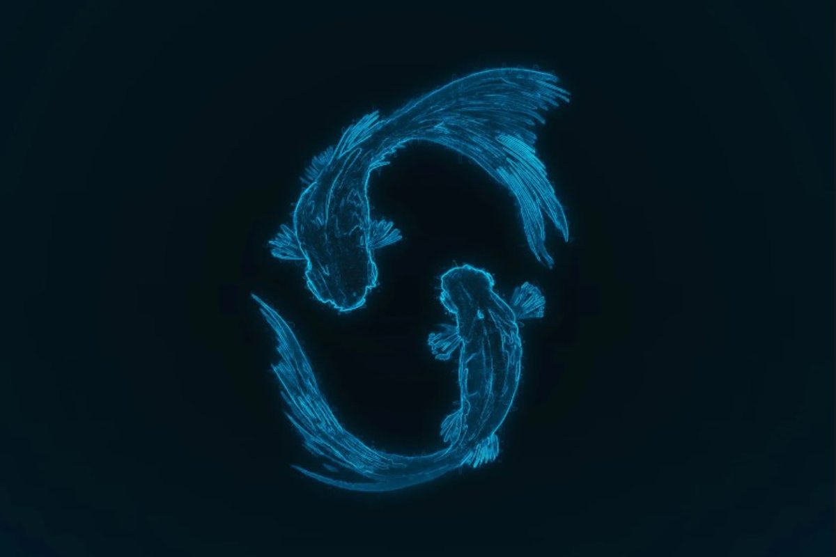 Stabilità finanziaria Pesci