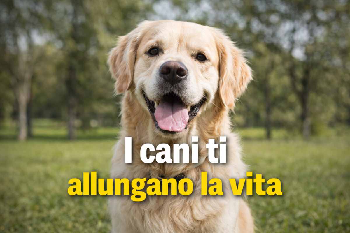 cane fa bene alla salute