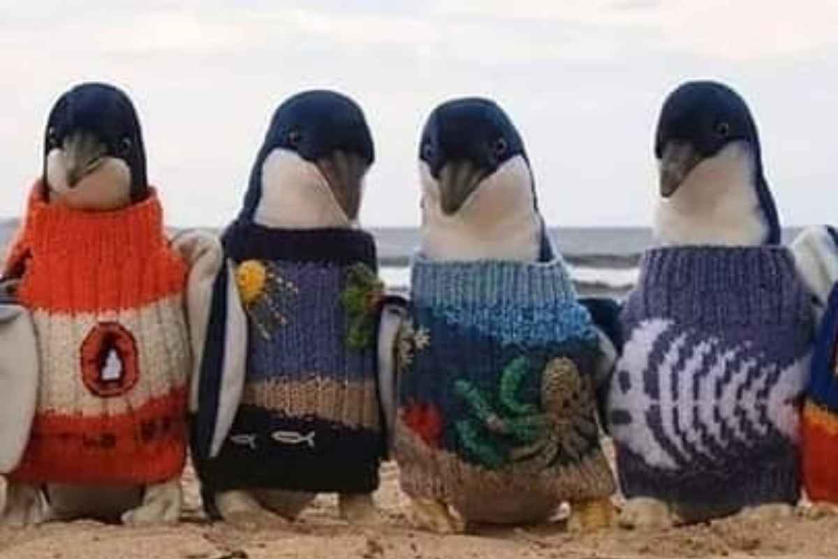 La storiaincredibile dell'anziano fa il giro del mondo