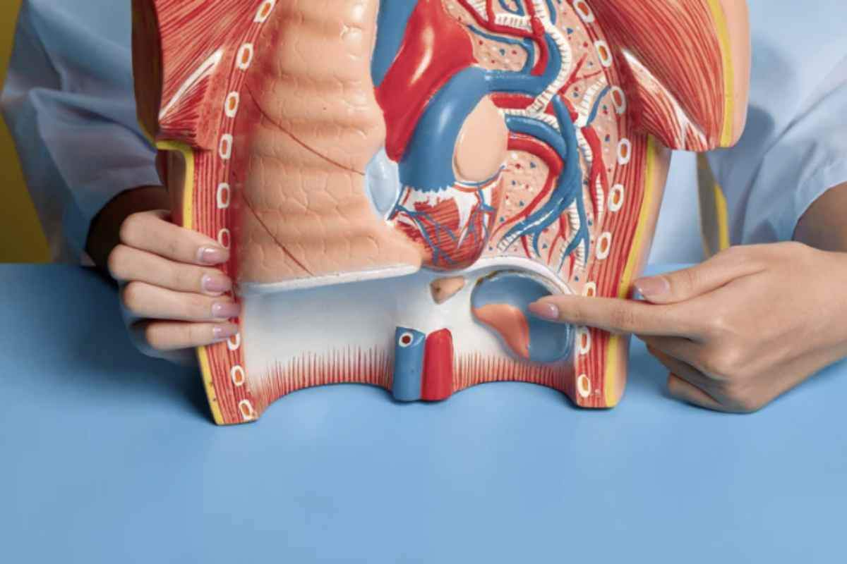 I calcoli renali rappresentano una delle condizioni urologiche più comuni.