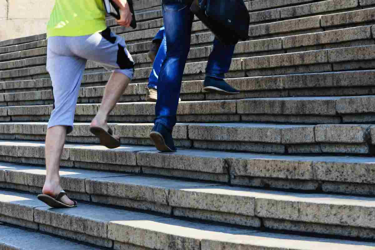 scale esercizio per circolazione